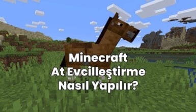 minecraft at nasıl evcilleştirilir